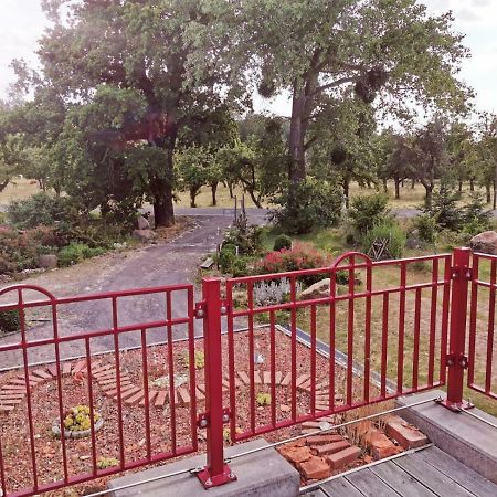 Ziegeleihof Inmitten Von Wiesen Und Waeldern Degenershausen Εξωτερικό φωτογραφία